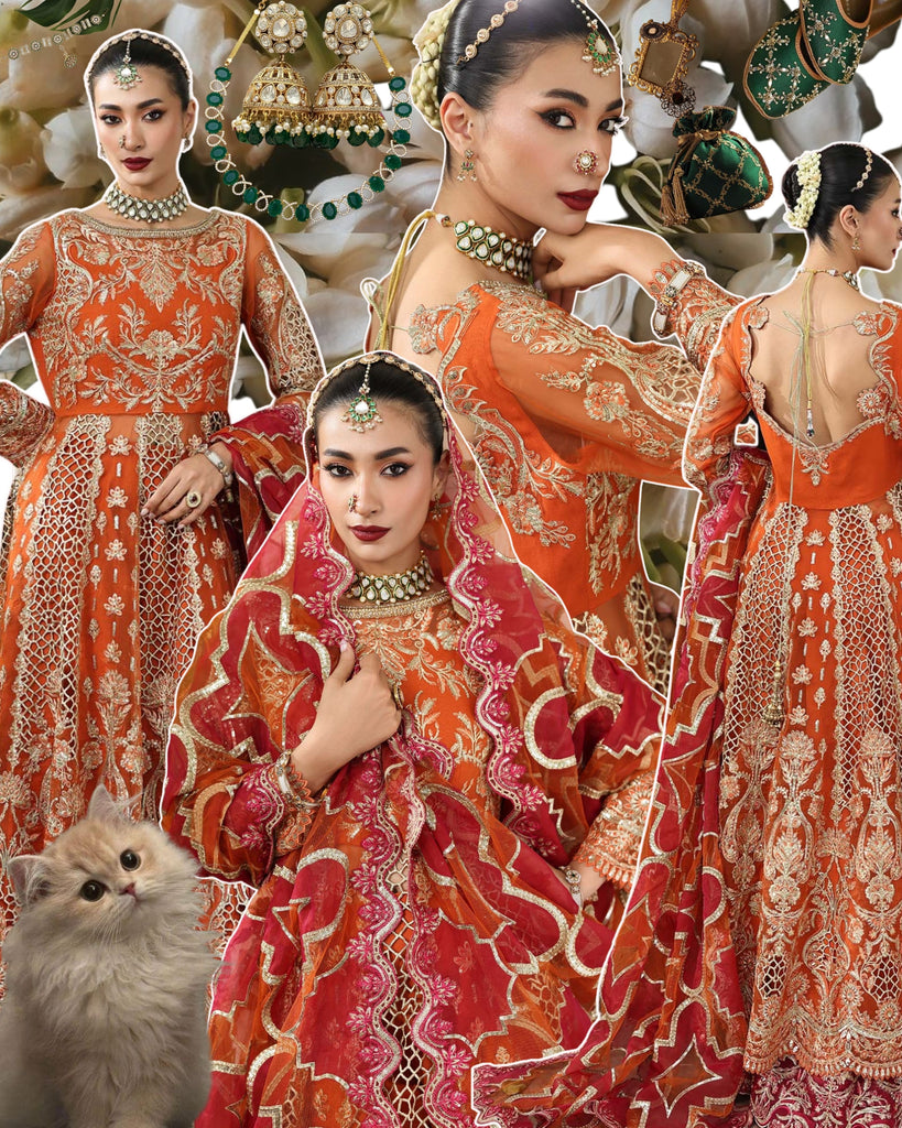 Imrozia Saiyara Luxury Formals – I-234 ZARMIN