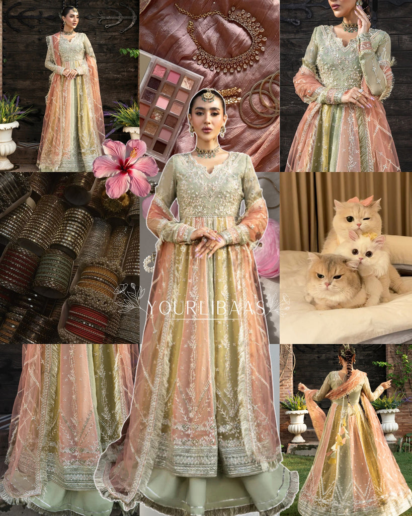Rang Rasiya Luxury Wedding Formals – Amil