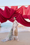 Florent Festive Luxury Lawn – FLL-2A