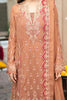 Freesia Festive Chiffon Formals – VARVARA - FSU5651