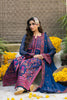 Freesia Festive Chiffon Formals – ROKSANA - FSU5653
