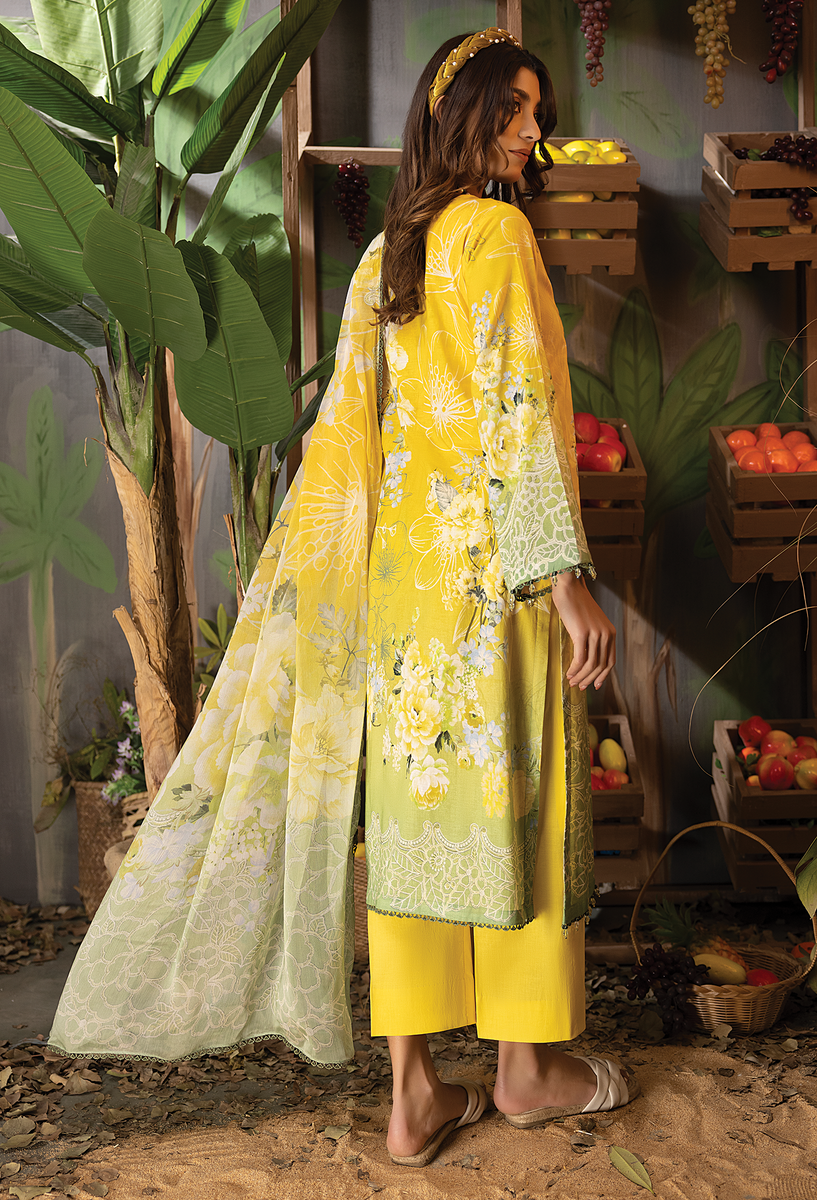 Adan Libas Chiffon Duptta Summer Collection Lawn 3pc Unstitched Dress SC-1302