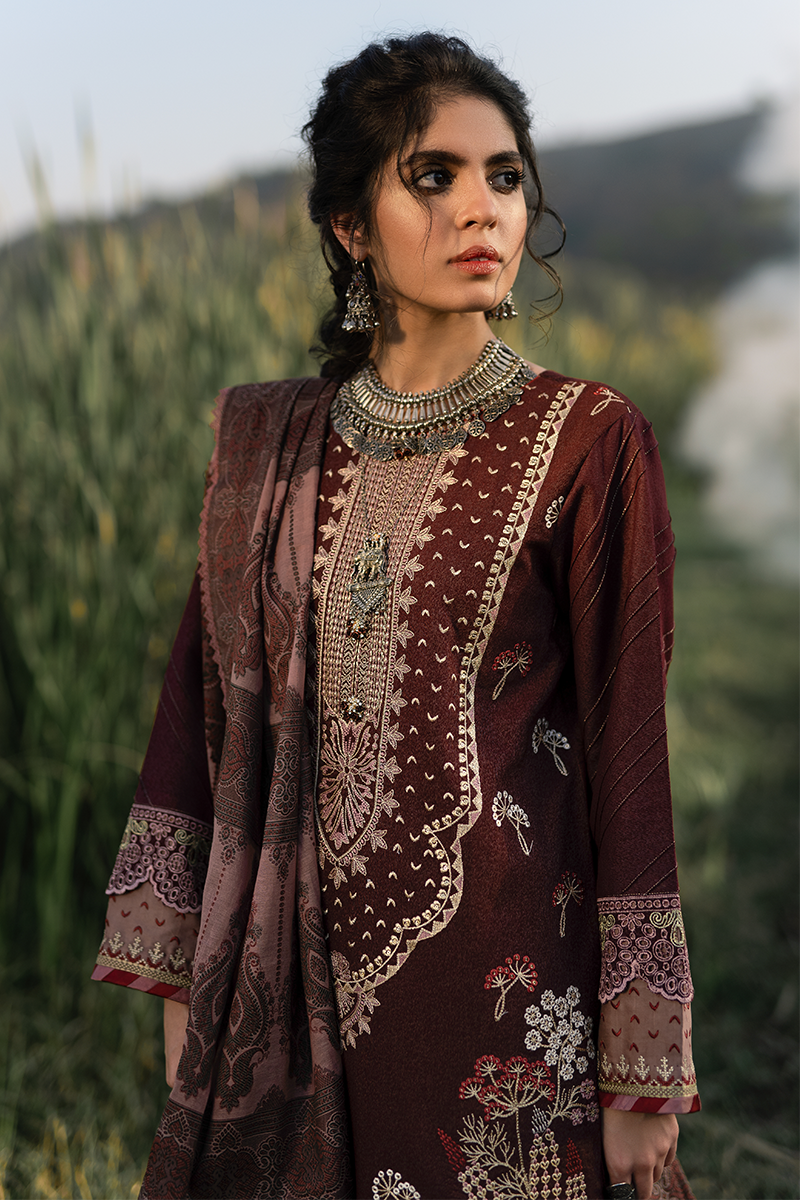 qalamkar luxury shawl collection