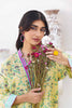 Gul Ahmed Pre-Fall – 2PC Printed Cambric Suit TCN-32006