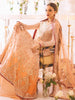 Roheenaz Sawariya Luxury Kalidaar Chiffon Formal Collection – DN-01