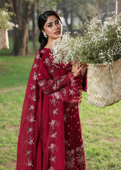 Sardinia Tales of Petals