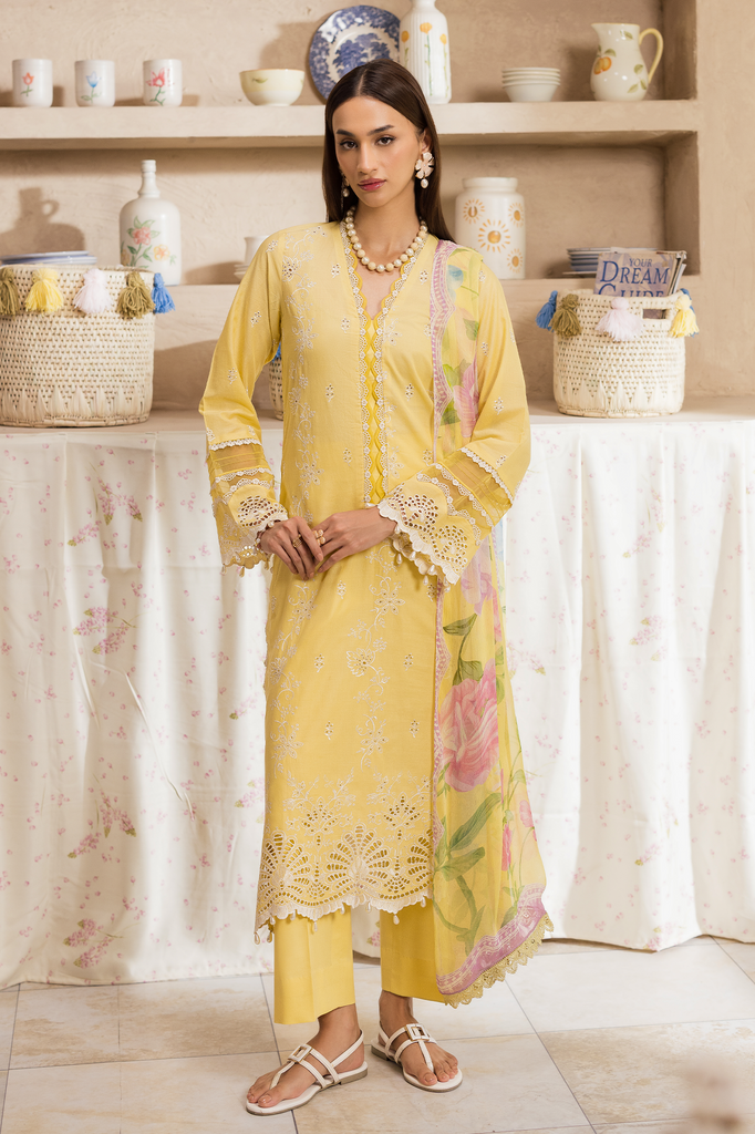 RajBari Nissa Chikankari Lawn – N-03