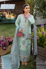 Rang Rasiya Luxury Festive Lawn Collection – Amyra