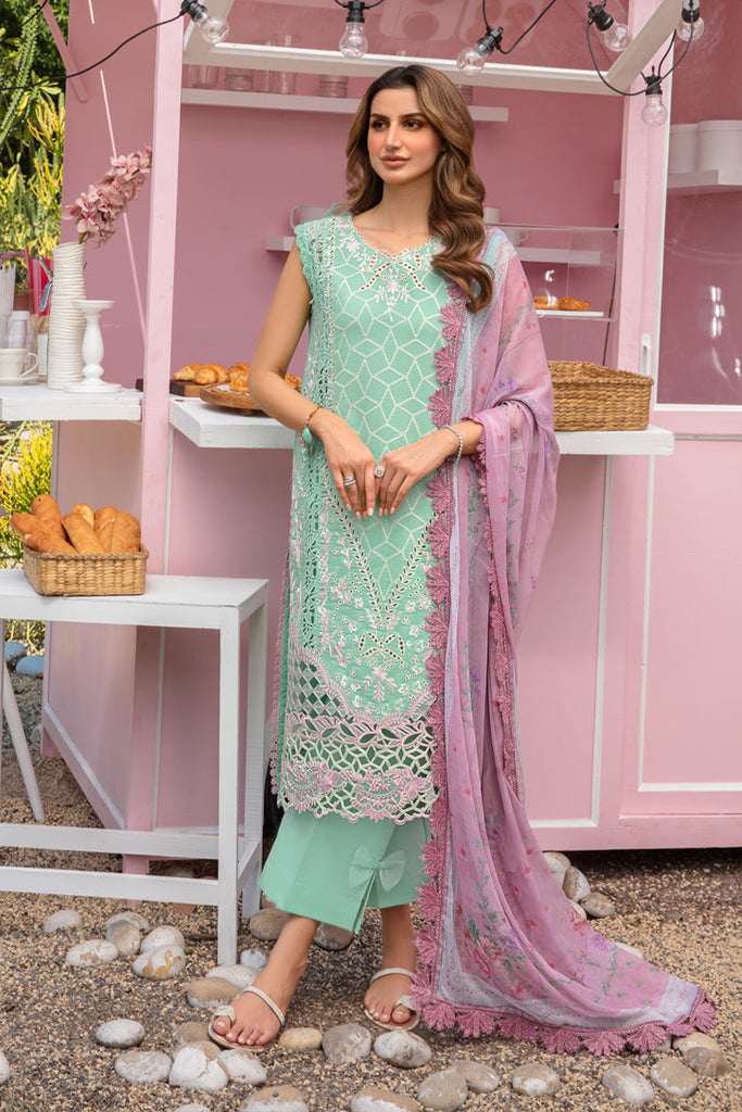 Rang Rasiya Carnation Festive Edit Lawn – Zoey