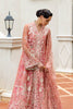 Mushq Hemline Luxury Wedding Festive Formals – Wings of Desire