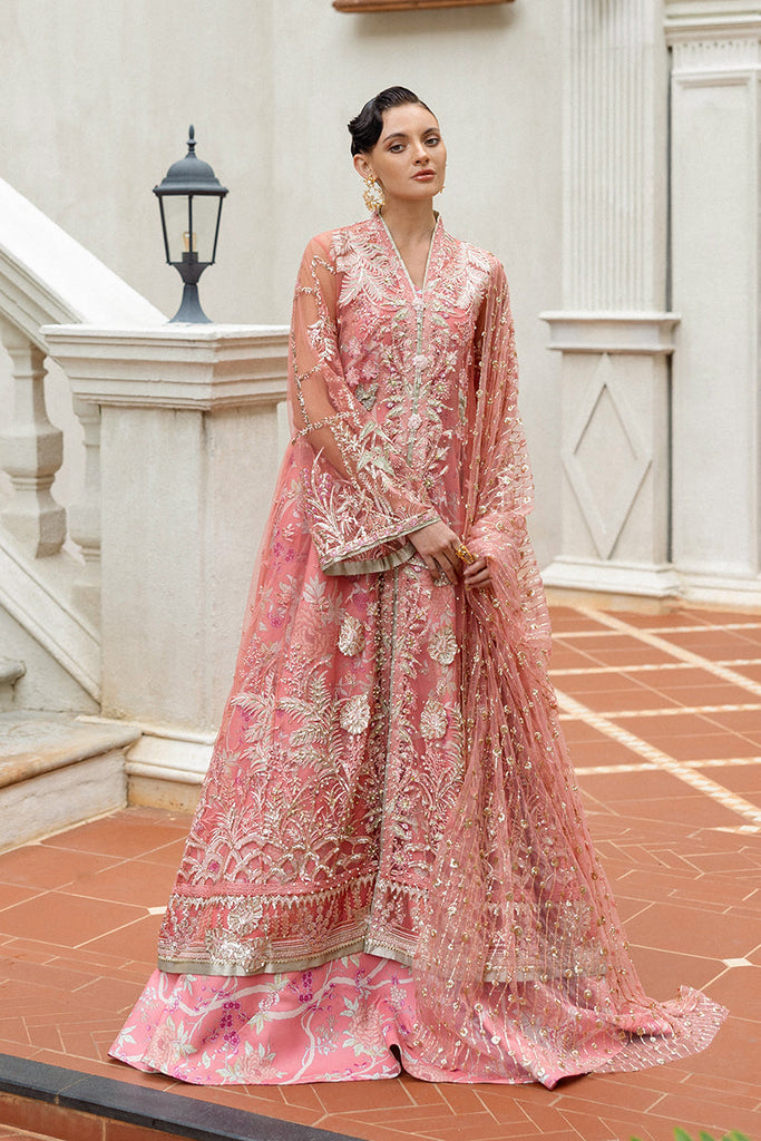 Mushq Hemline Luxury Wedding Festive Formals – Wings of Desire