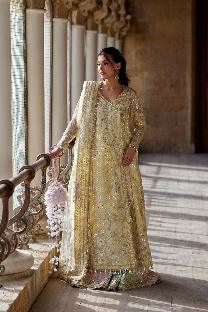 Afrozeh Dastangoi Luxury Wedding Formals – Afsaan