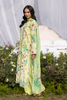 RajBari Printkari Lawn – E-01