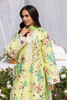 RajBari Printkari Lawn – E-01
