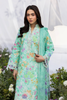 RajBari Printkari Lawn – E-08