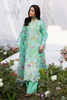RajBari Printkari Lawn – E-08