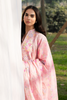 RajBari Printkari Lawn – E-03