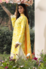 RajBari Printkari Lawn – E-05