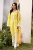 RajBari Printkari Lawn – E-05
