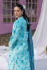 RajBari Printkari Lawn – E-02