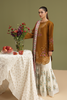 RajBari Jahaan Lawn Edit – J-01