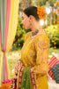 Alizeh Shehnai The Festive Edit Formals – AF-ZN-2215-Zarposh