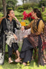 Rang Rasiya Lifestyle Summer Edit Lawn – Roshane