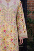 Aabyaan Shezlin Chikankari Eid Edit Lawn – ZEHRAAYE (AV-09)