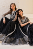 IZNiK Chinon Luxury Formals – CC-50 Embroidered Net