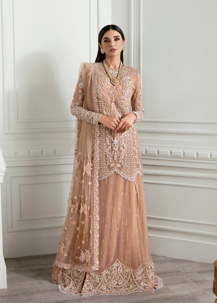 Crimson X Saira Shakira Luxury Wedding Formals – Stardust