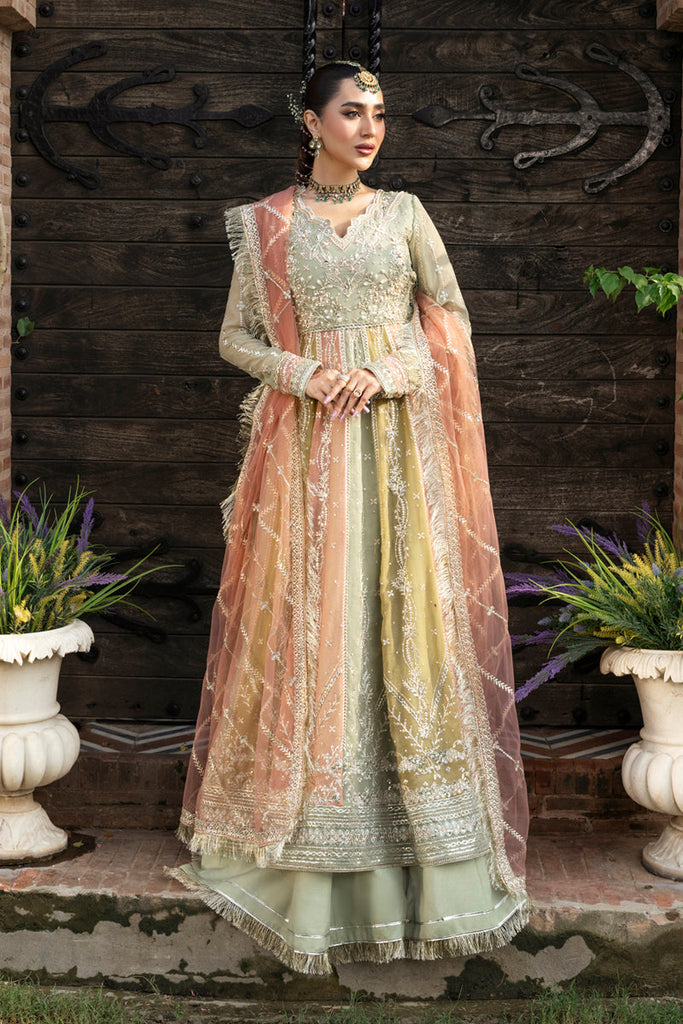 Rang Rasiya Luxury Wedding Formals – Amil