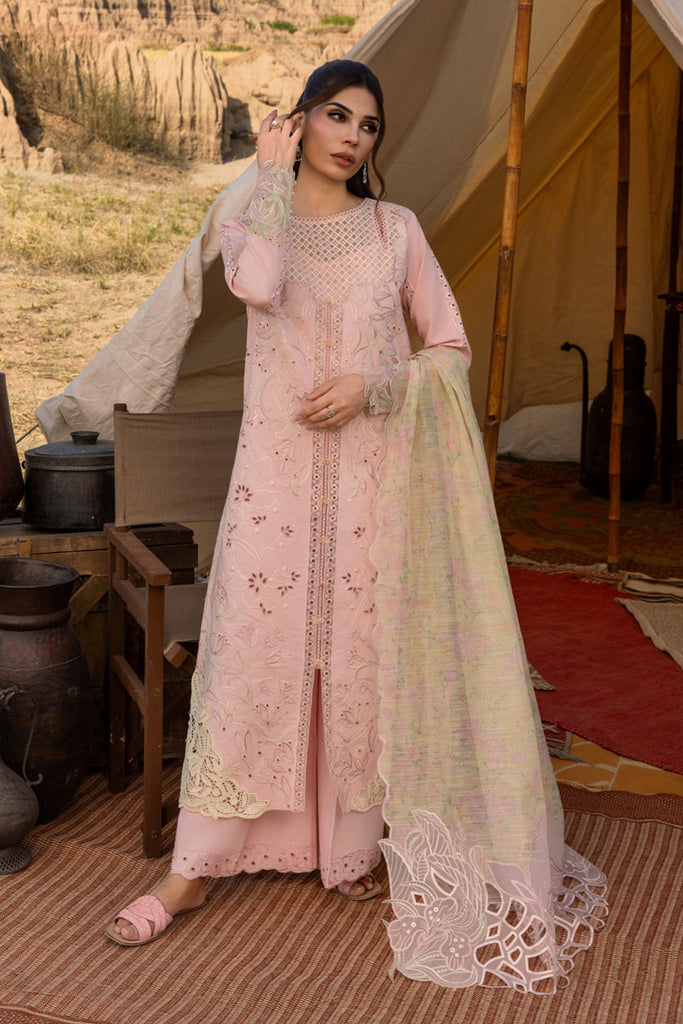 Rang Rasiya Premium Eid Edit Lawn – Nehal