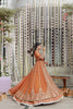 Gulmina Luxury Handwork Chiffon Formals – Anaya