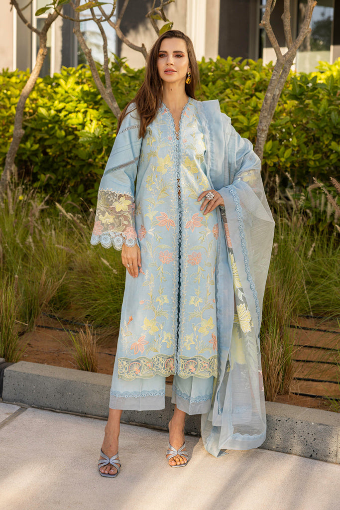 Rang Rasiya Carnation Summer Lawn Edit – Ocean