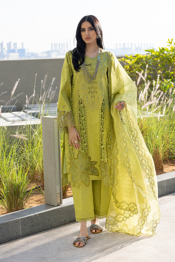 Rang Rasiya Carnation Summer Lawn Edit – Aaleen