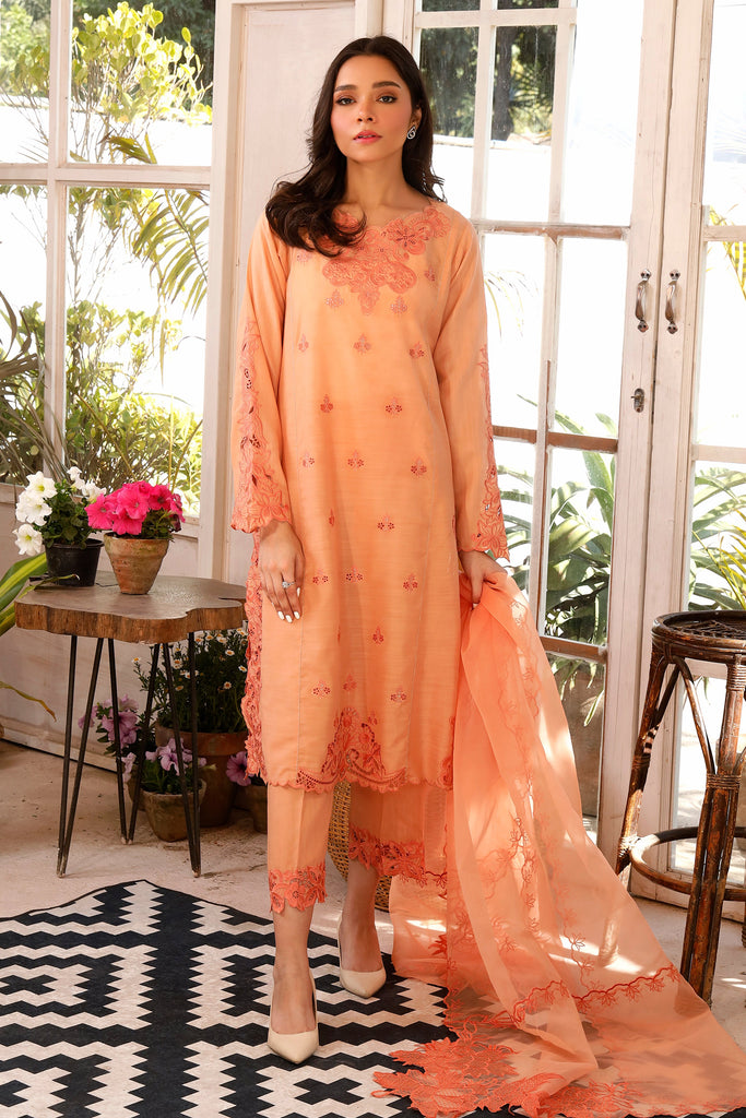 LSM Lakhany Pret/Stitched – Raw Silk Embroidered Collection LG-UB-0022