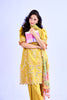Sobia Nazir Vital Luxury Lawn Vol-2 – D-6A