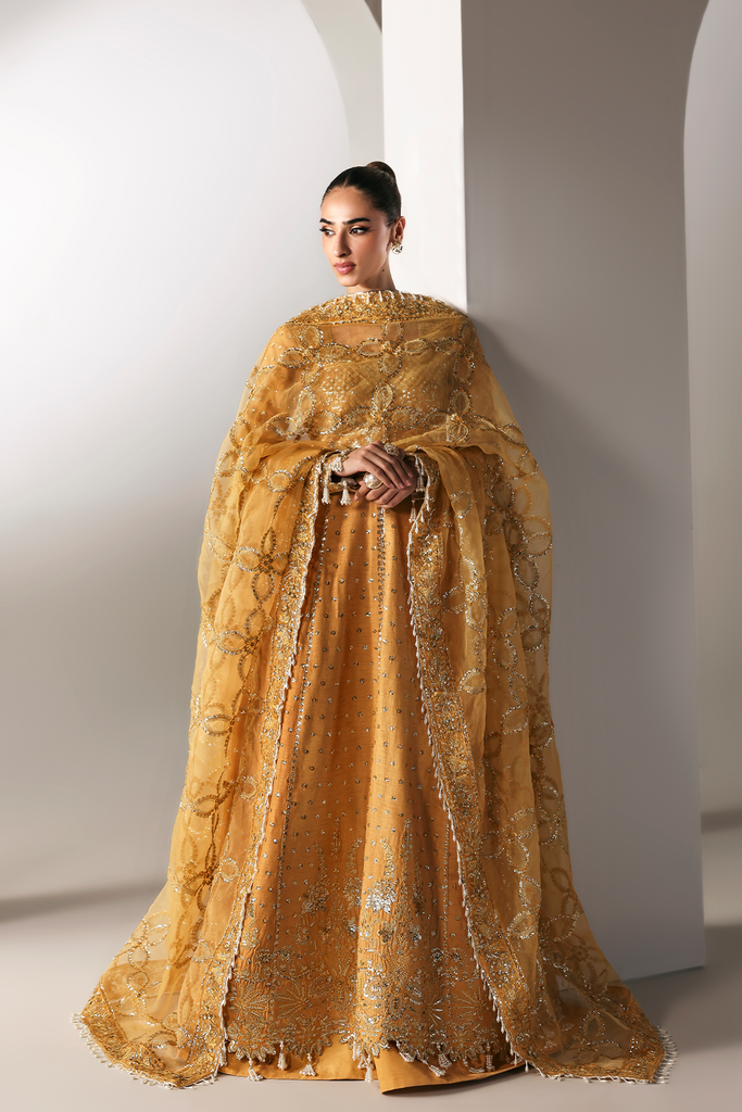 Emaan Adeel Serein Luxe Silk Formals – GOLDEN HOUR