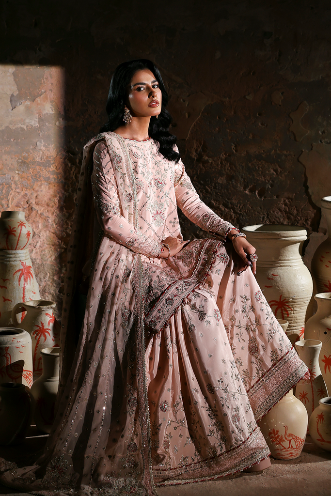 Emaan Adeel Afsana-e-Silk Formals – NAZNEEN