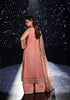 Elaf Stardom Luxury Handwork Wedding Formals – ESH-05 BEYOND BEAUTY