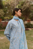 Ayzel Core Collection Lawn Vol-II – Vezia