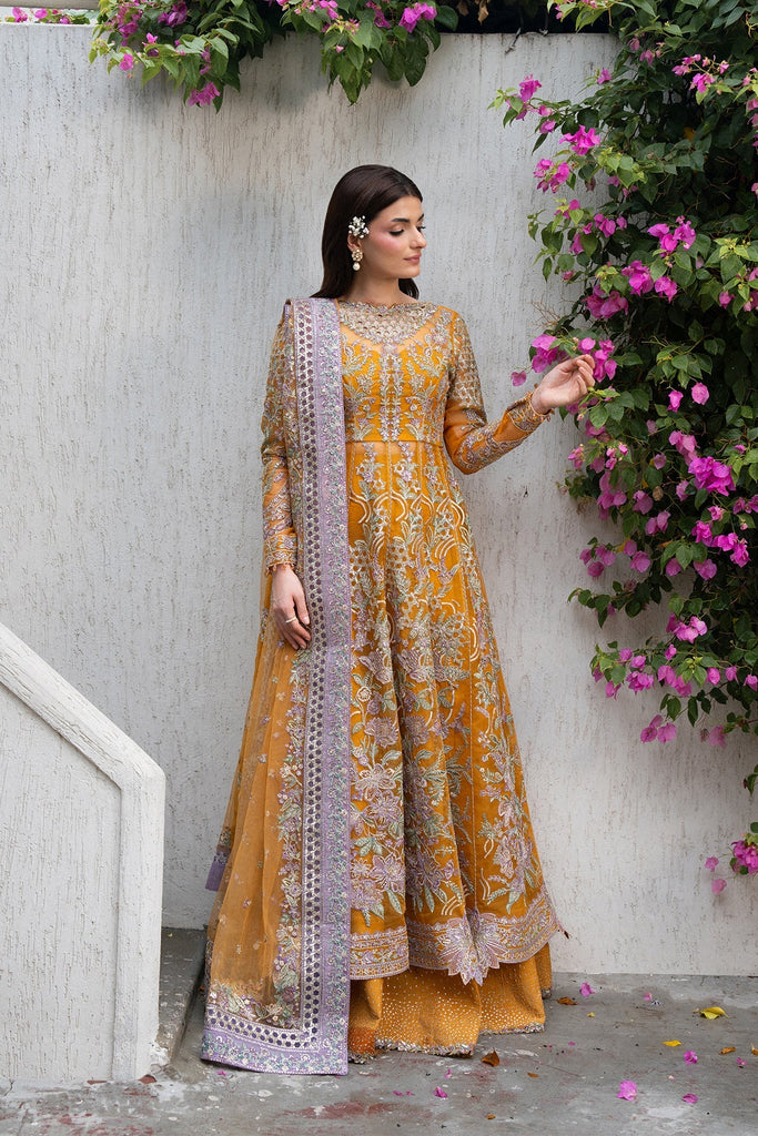 Ayzel Pehli Nazar Luxury Formals – Zarafshan