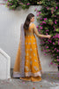 Ayzel Pehli Nazar Luxury Formals – Zarafshan