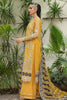 Imrozia Saiyara Luxury Formals – I-230 ZAREHA