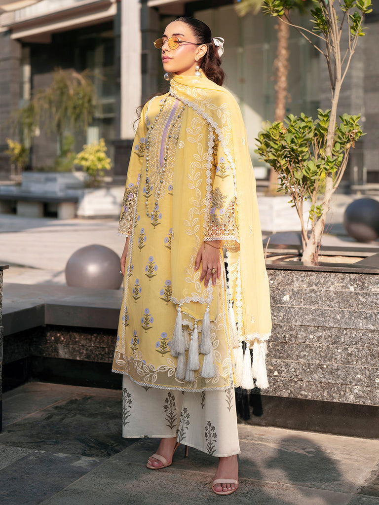 Mahnur Broadway Lawn – BW-6