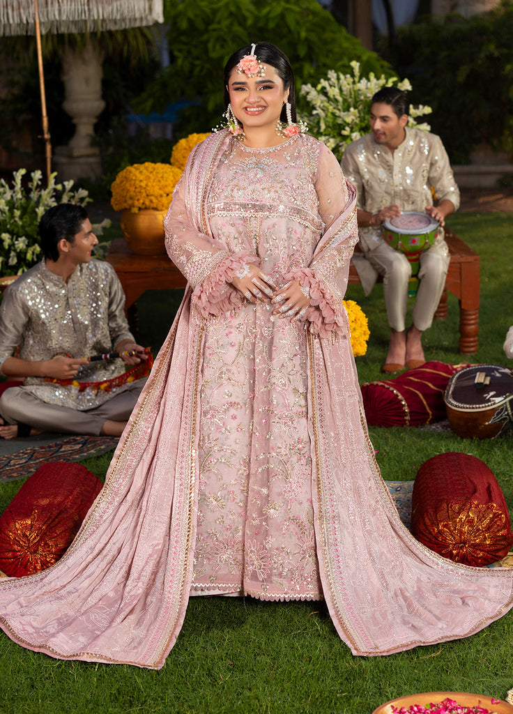 Sahane Haye Dil Luxury Wedding Formals – CT29001 Layers of Dream