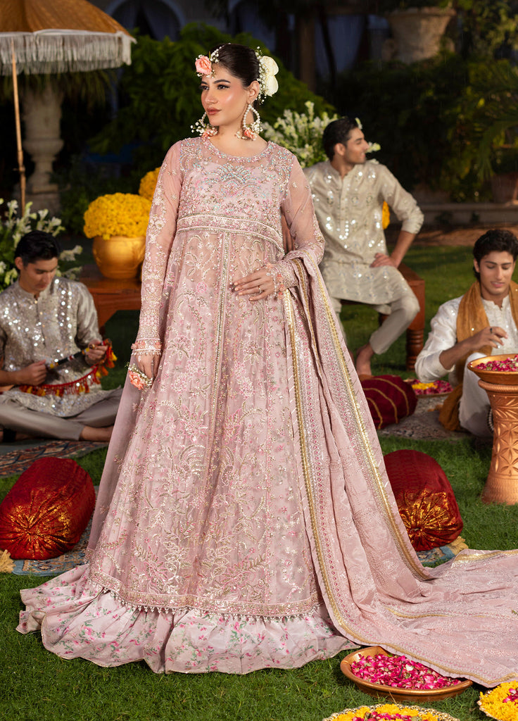 Sahane Haye Dil Luxury Wedding Formals – CT29001 Layers of Dream