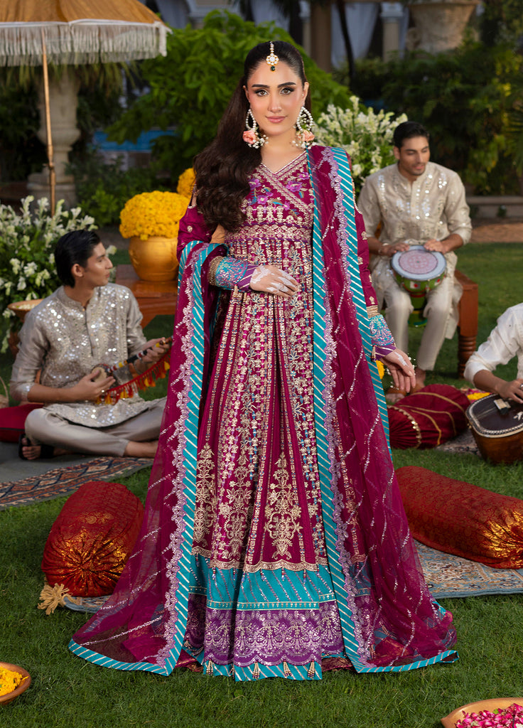Sahane Haye Dil Luxury Wedding Formals – CT29002 Song of Joy