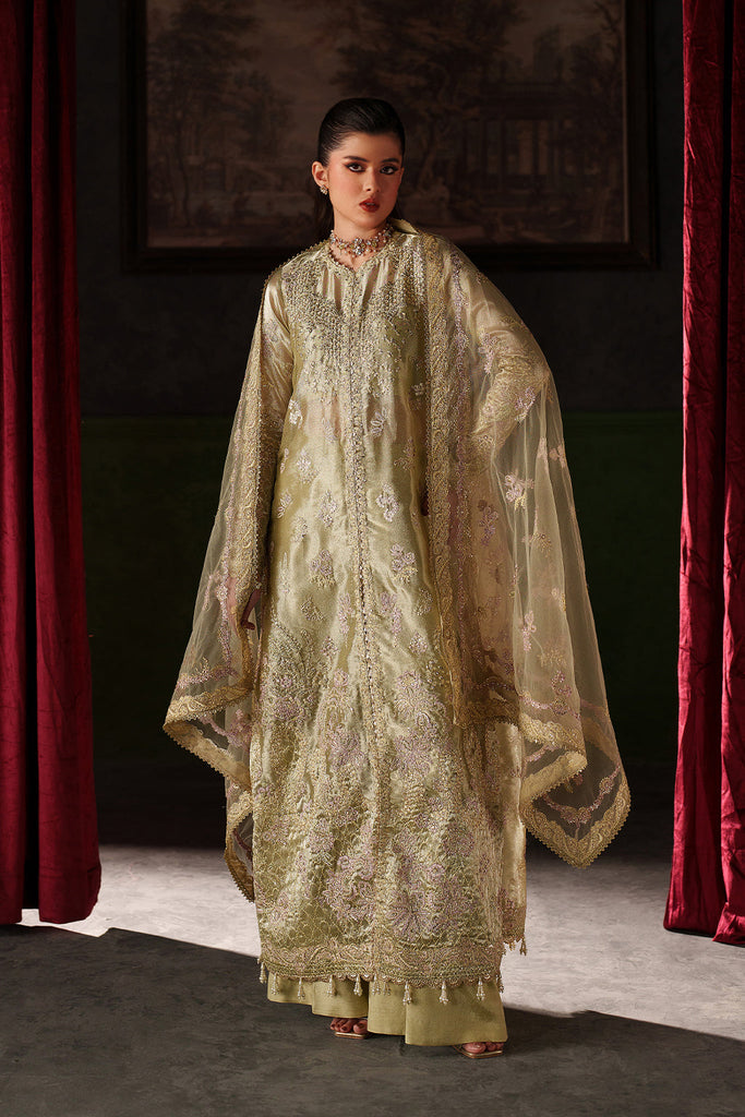Emaan Adeel Verve Silk Edit Formals – ZELIE