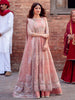 Bin Ilyas Sona Gachi Luxury Wedding Festive Formals – D-604